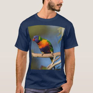 Camiseta Rainbow Lorikeet 4