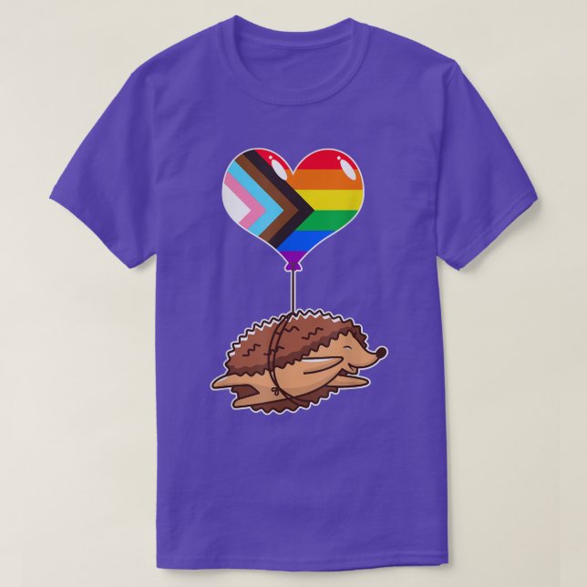 Camiseta Rainbow Progress Hedgehog Identidade visual Nonbin (Frente do Design)