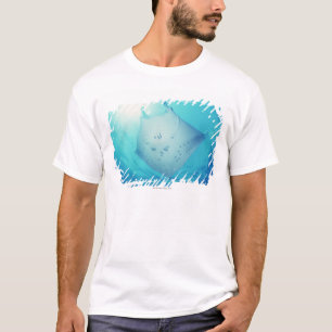 Camiseta Raio