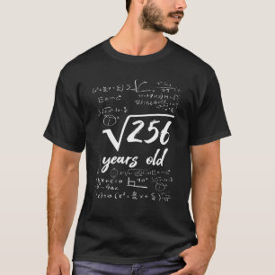 Camiseta Raiz Quadrada de 256 - 16.º Aniversário 16 Anos Fu