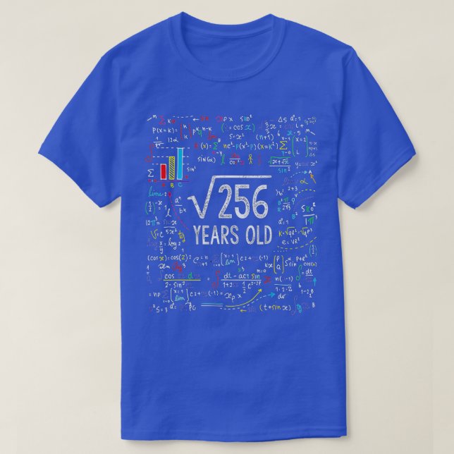 Camiseta Raiz Quadrada De 256 Dons De 16 Anos De 16 Anos De (Frente do Design)