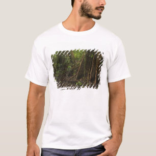 Camiseta Raízes de Contraforte. Floresta Tropical, Mapari R