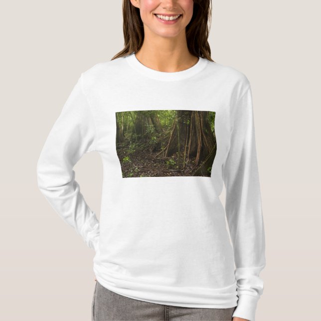 Camiseta Raízes de Contraforte. Floresta Tropical, Mapari R (Frente)