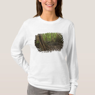 Camiseta Raízes de Contraforte. Floresta Tropical, Mapari R
