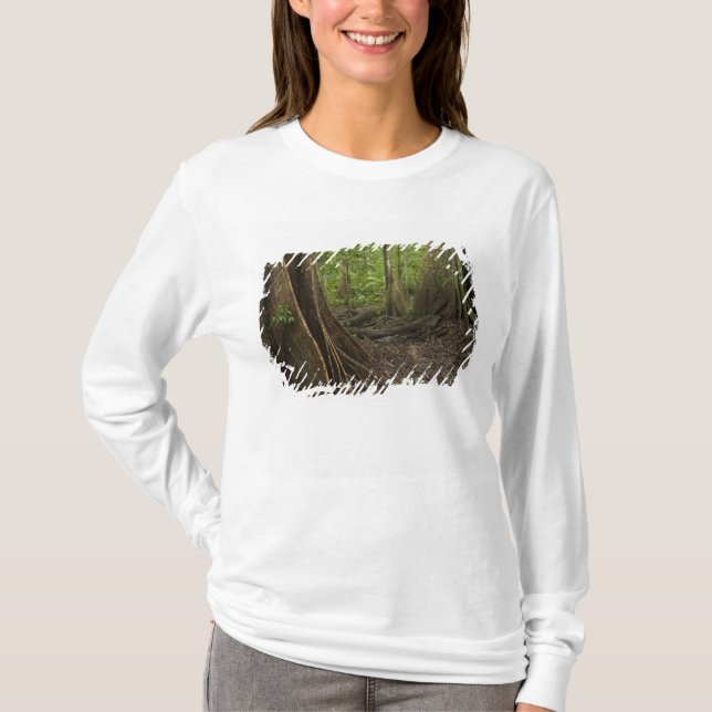 Camiseta Raízes de Contraforte. Floresta Tropical, Mapari R (Frente)
