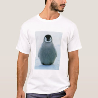 Camiseta Ralph