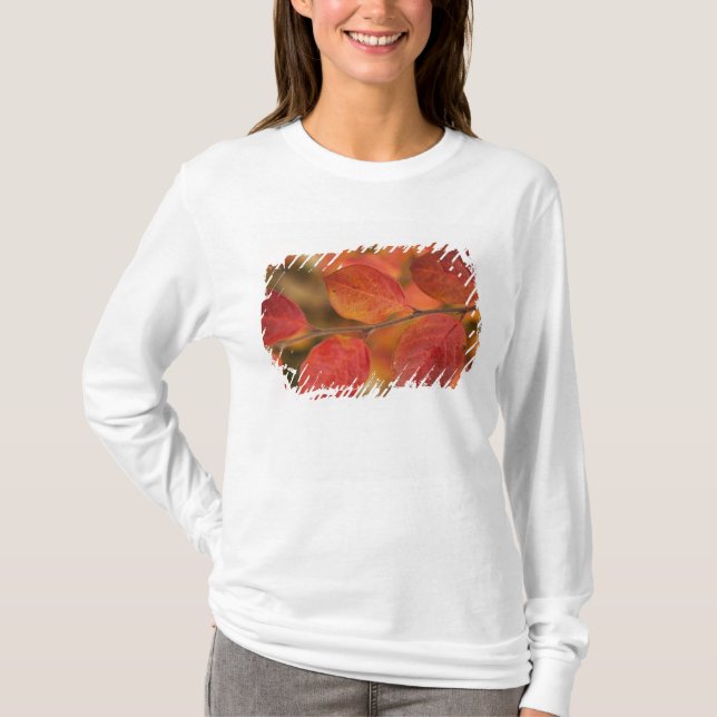 Camiseta Ramo coberto com folhas de outono (Frente)