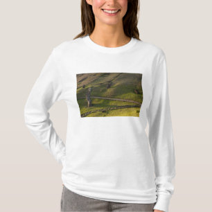Camiseta Rano Raraku, Rapa Nui, Ilha de Páscoa, Chile