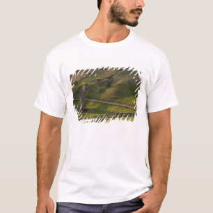 Camiseta Rano Raraku, Rapa Nui, Ilha de Páscoa, Chile