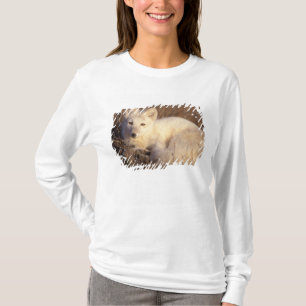 Camiseta raposa ártica, Alopex lagopus