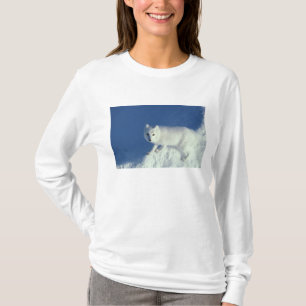 Camiseta Raposa ártica Alopex lagopus) Uma raposa ártica