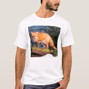 Camiseta Raposa Vermelha em um tronco