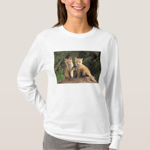 Camiseta Raposa vermelha filhote na frente da toca Vulpes v