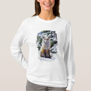 Camiseta Raposa Vermelha sentada no banco de neve, Vulpes,