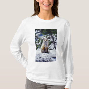 Camiseta Raposa Vermelha sentada no banco de neve, Vulpes,