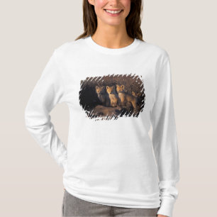 Camiseta raposa-vermelha, Vulpes vulpes, filhotes
