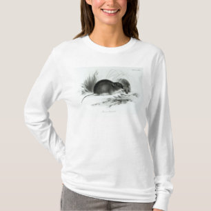 Camiseta Rato, Terra do Fogo, Ámérica do Sul c.1832-36