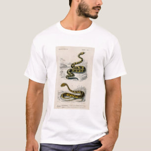 Camiseta Rattlesnake Saharan horned Viper illustration