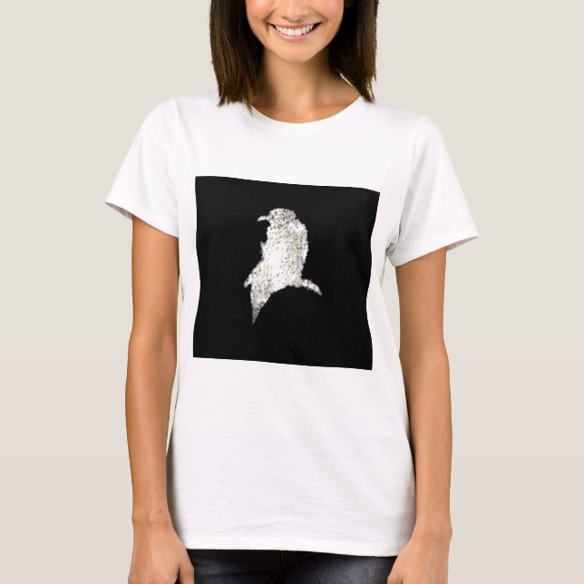 Camiseta Raven (Frente)