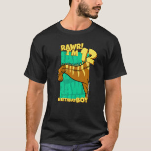 Camiseta Rawr I'm 12 Birthday Boys 12 Birthday Dino Rebba