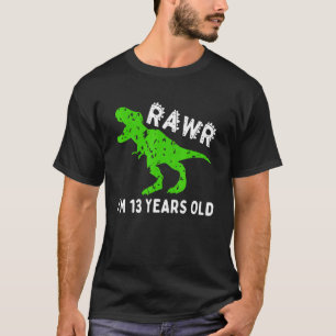 Camiseta Rawr, tenho 13 anos Dinossaur Vintage 13 Birthd