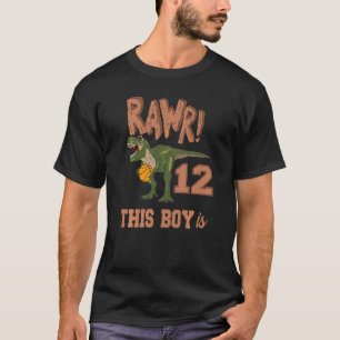 Camiseta Rawr This Boy Is 12 Dinossaur 12 Birthday Rex Bas