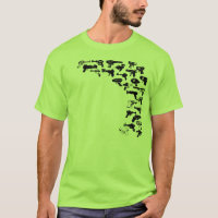 Rayguns