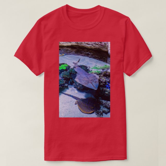 Camiseta Rays no AWQA (Frente do Design)