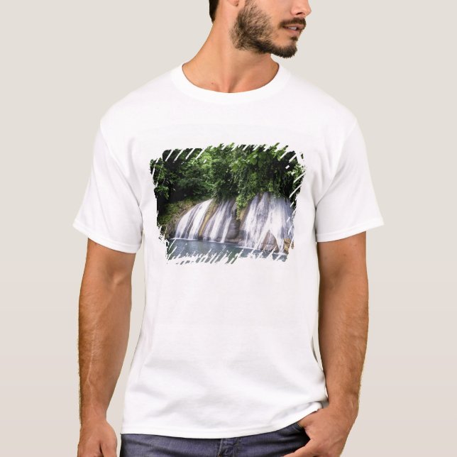 Camiseta Reach Falls, Port Antonio, Jamaica (Frente)