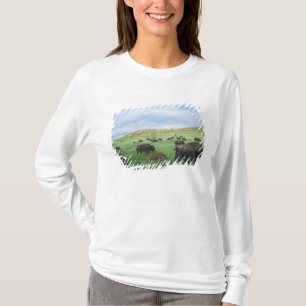 Camiseta Rebanho de bisões pastam grama da pradaria em Theo