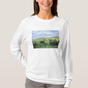 Camiseta Rebanho de bisões pastam grama da pradaria em Theo