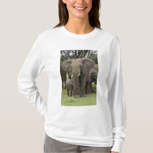Camiseta Rebanho do elefante africano, africana do
