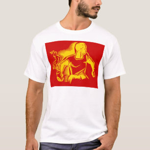 Camiseta Rebelde, Coquetel Molotov, Distúrbios, Estilo Comu