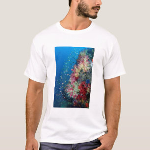 Camiseta Recife de coral submarino, Indonésia