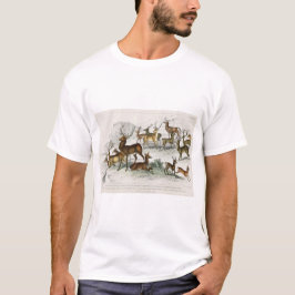 Camiseta Red Deer Hart, Hind, Roebuck, Thibetian Musculk