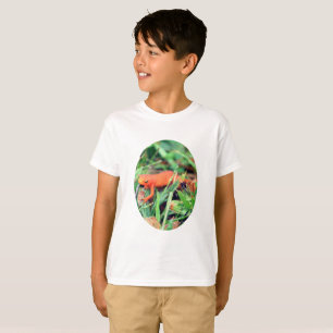 Camiseta Red Eft Orange Salamanders Nature