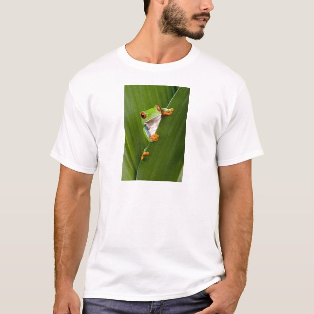 Camiseta Red eyed tree frog (Frente)