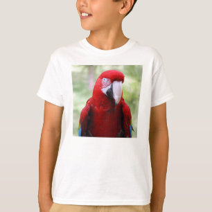 Camiseta red-macaw10x10