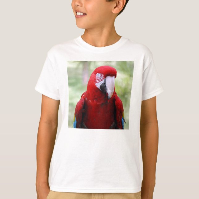 Camiseta red-macaw10x10 (Frente)