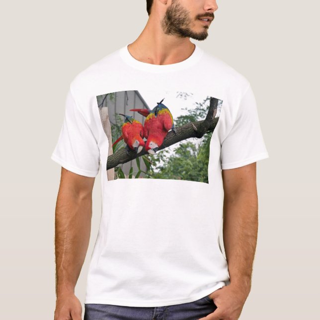 Camiseta Red Macaws 1.JPG (Frente)