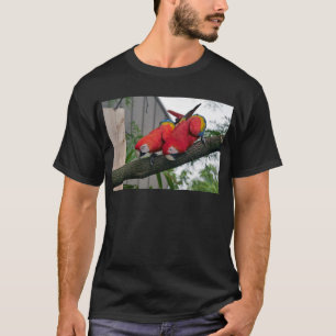 Camiseta Red Macaws 2.JPG