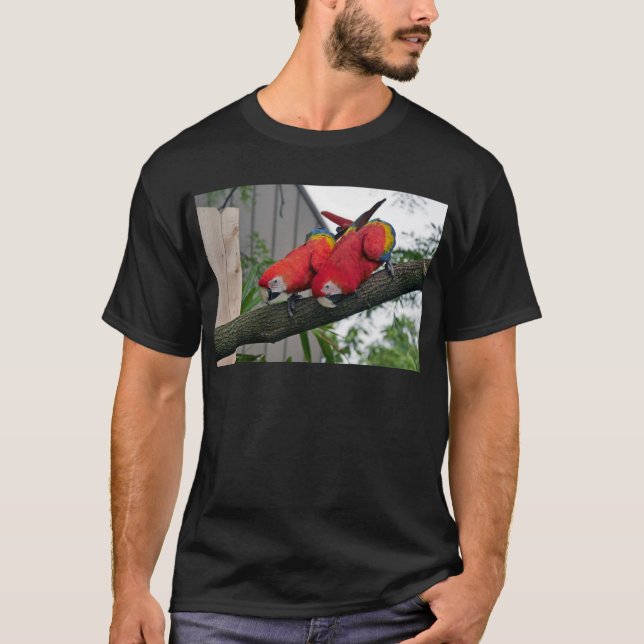 Camiseta Red Macaws 2.JPG (Frente)