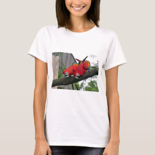Camiseta Red Macaws 2.JPG