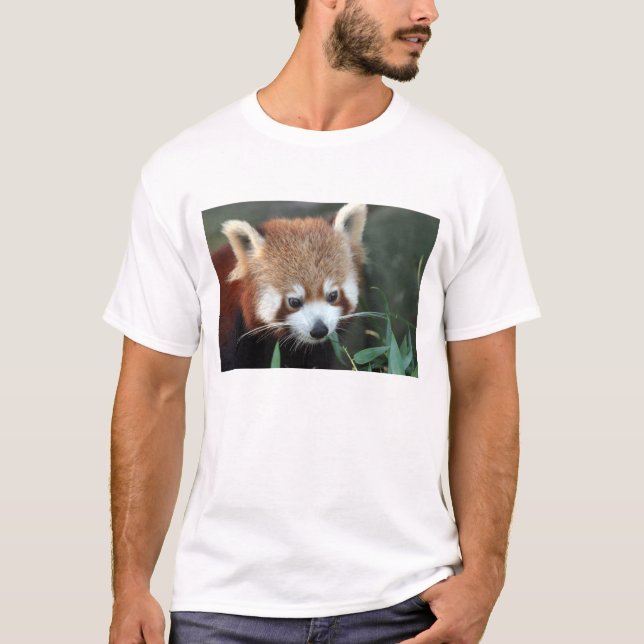 Camiseta Red Panda, Taronga Zoo, Sydney, Austrália (Frente)