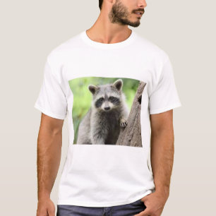 Camiseta Refinado procura o cavalheiro velho