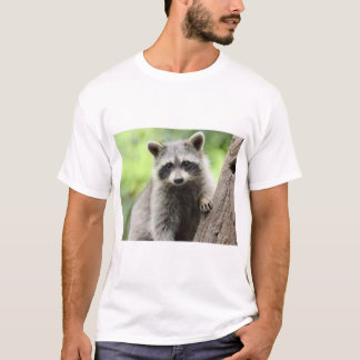 Camiseta Refinado procura o cavalheiro velho