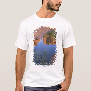 Camiseta Reflexão da rocha da catedral, Sedona, arizona