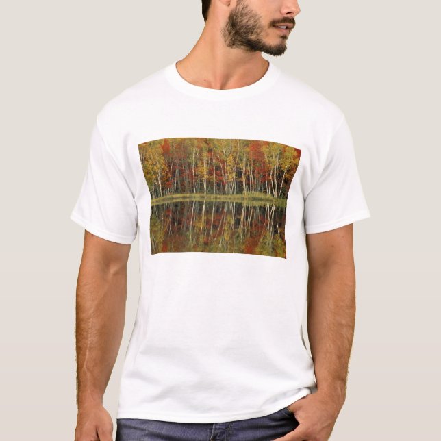 Camiseta Reflexões sobre Folhagem e Aves de Queda; Hiawatha (Frente)