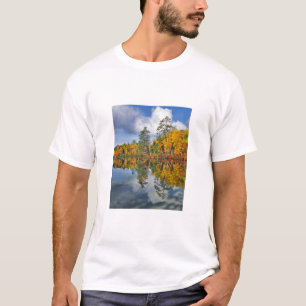 Camiseta Reflexos da lagoa de outono, Maine