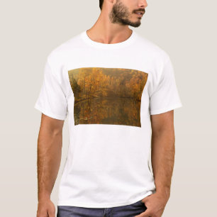 Camiseta Reflexos de outono no lago.
